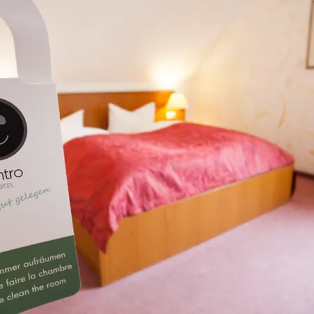 Alter Wolf מלון 3*