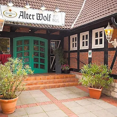 Alter Wolf Hotel 3*
