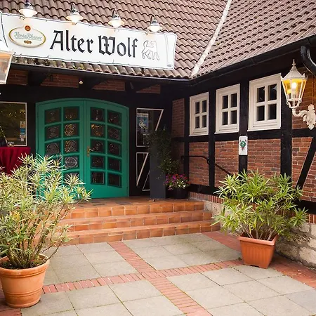 Hotel Alter Wolf 3*